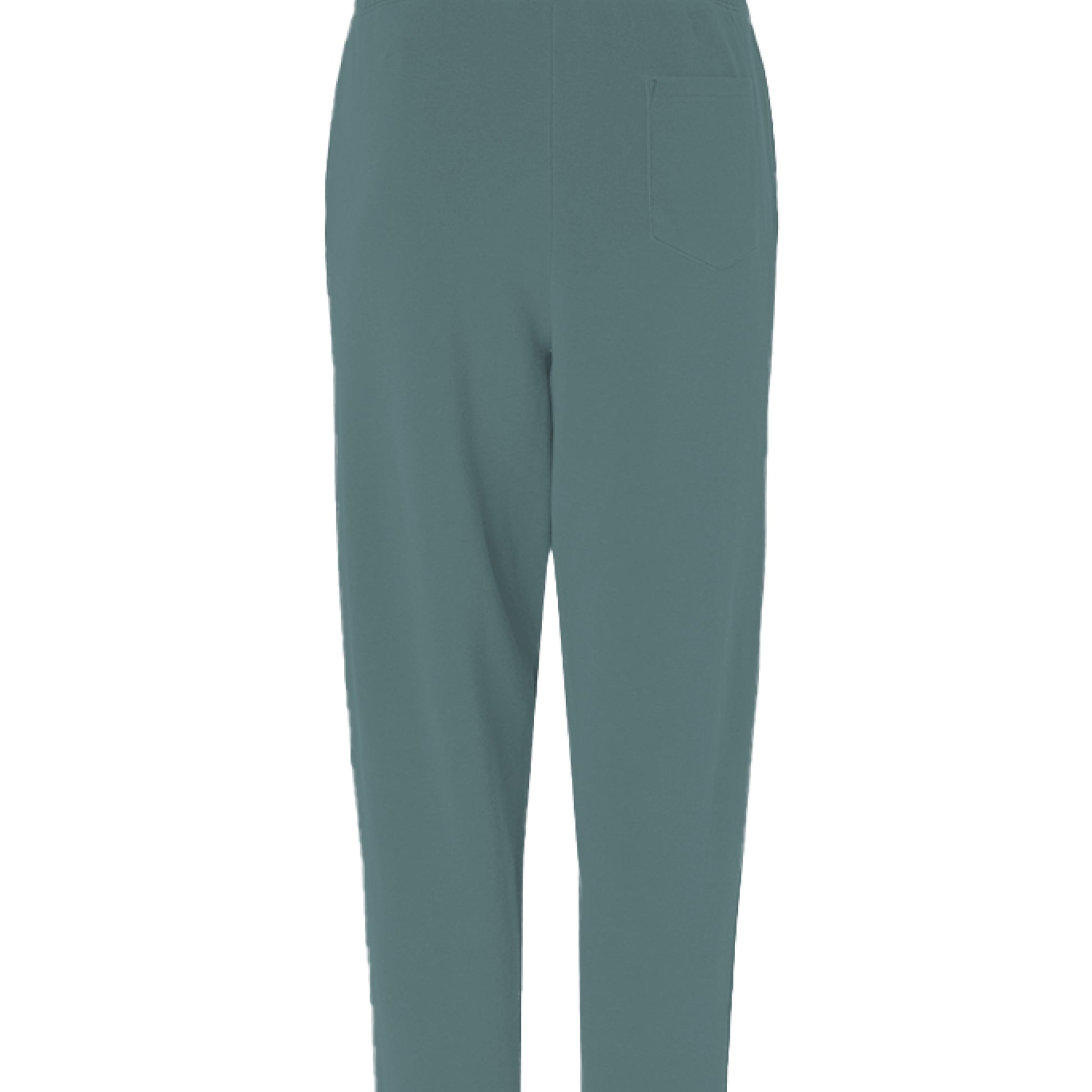 Pigment Alpine Green - BACK